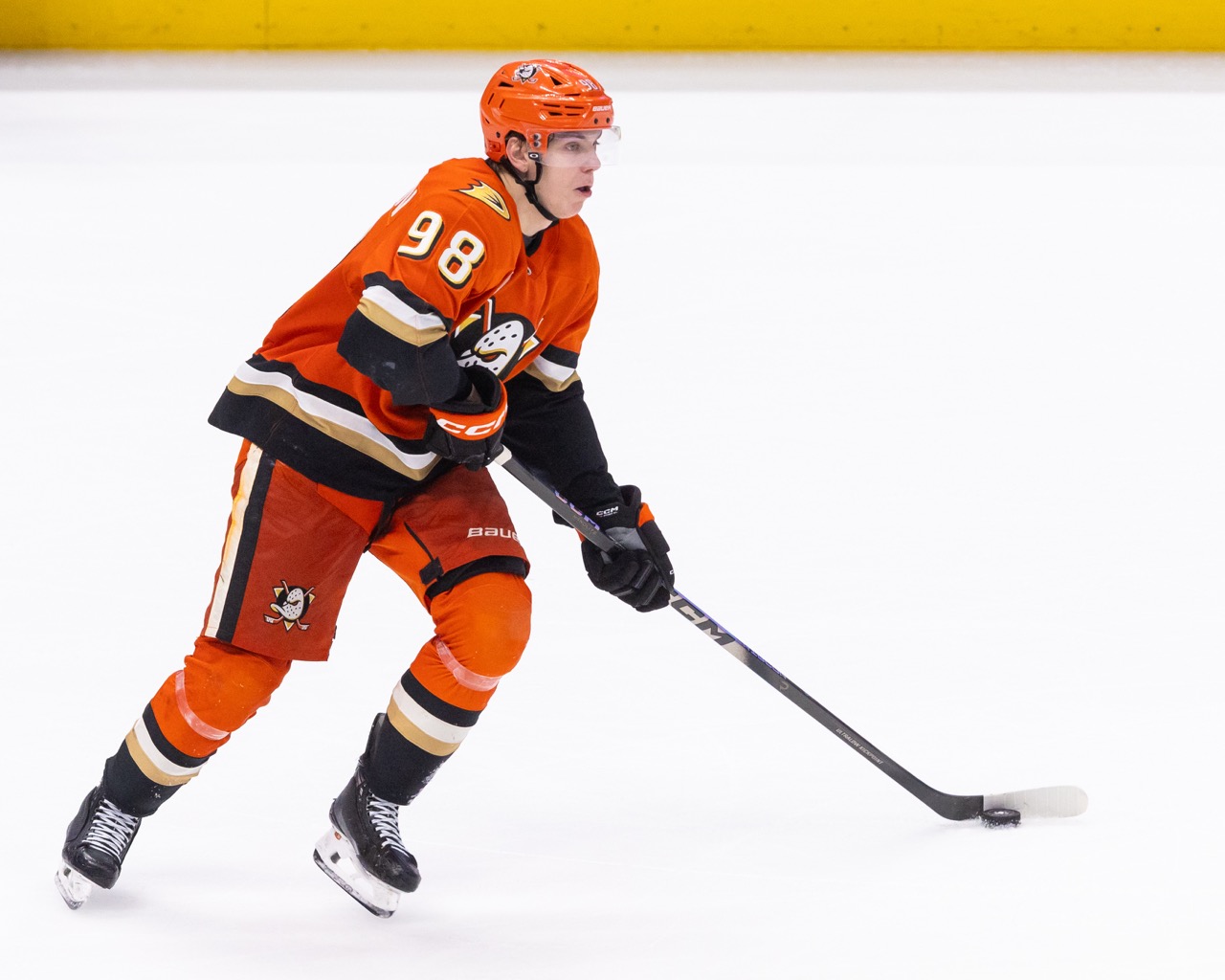 Ducks Fall to Wild in My NHL Photo Debut