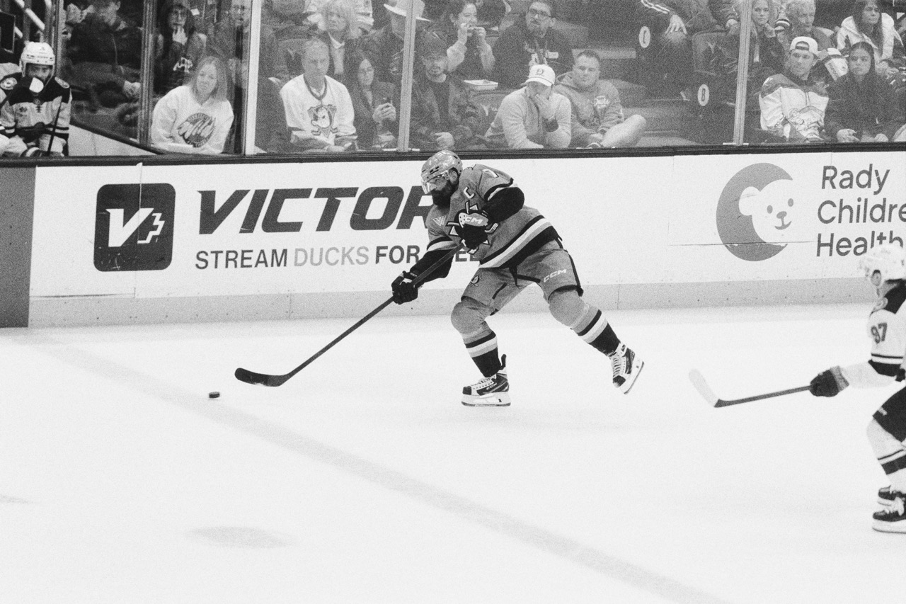 Celebrating Recently Traded Ducks on National Camera Day