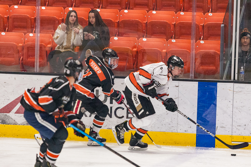 2020 ADHSHL All Star Game
