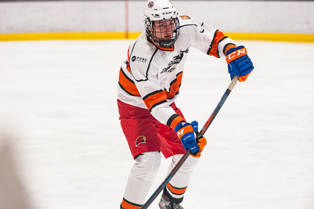 2020 ADHSHL All Star Game