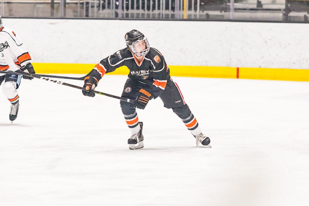 2020 ADHSHL All Star Game