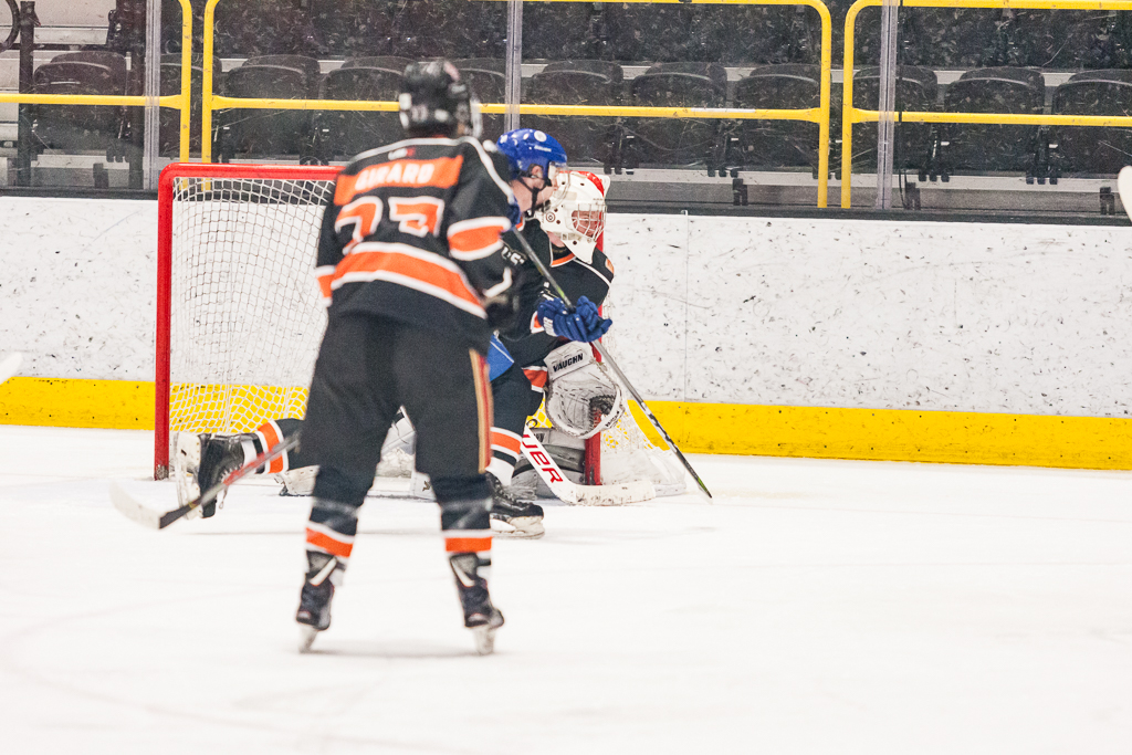 2020 ADHSHL All Star Game