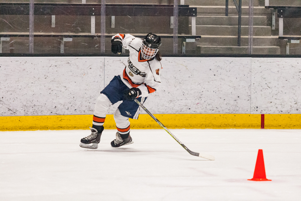 2020 ADHSHL All Star Game