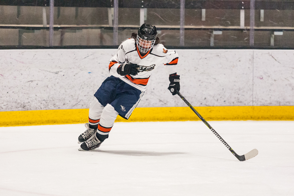 2020 ADHSHL All Star Game