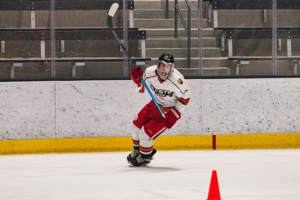 2020 ADHSHL All Star Game