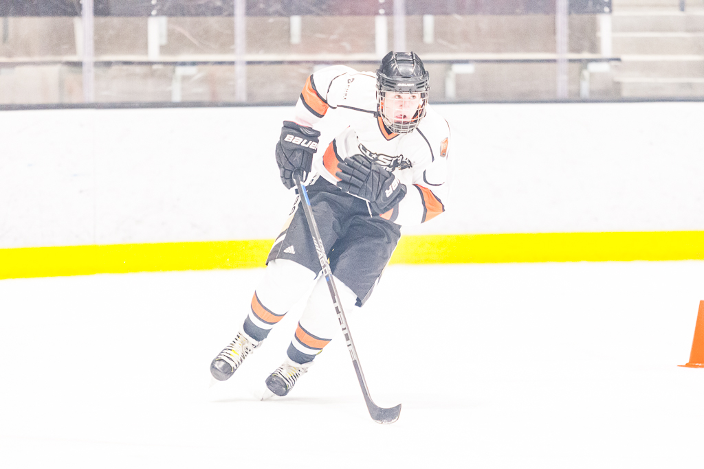 2020 ADHSHL All Star Game