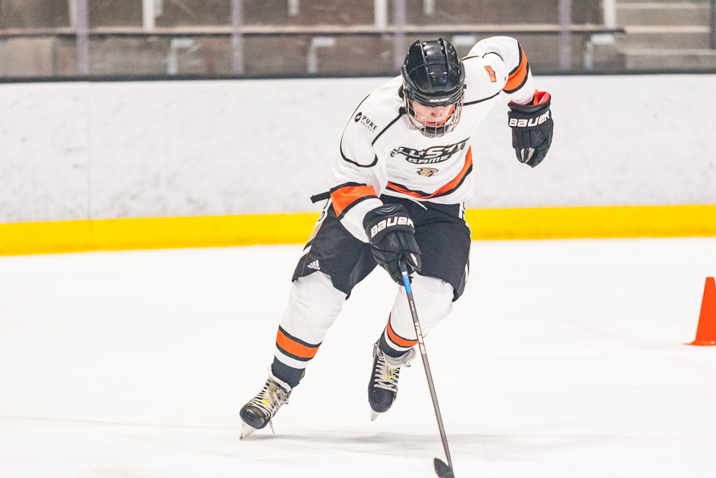 2020 ADHSHL All Star Game