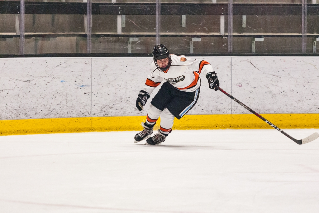 2020 ADHSHL All Star Game