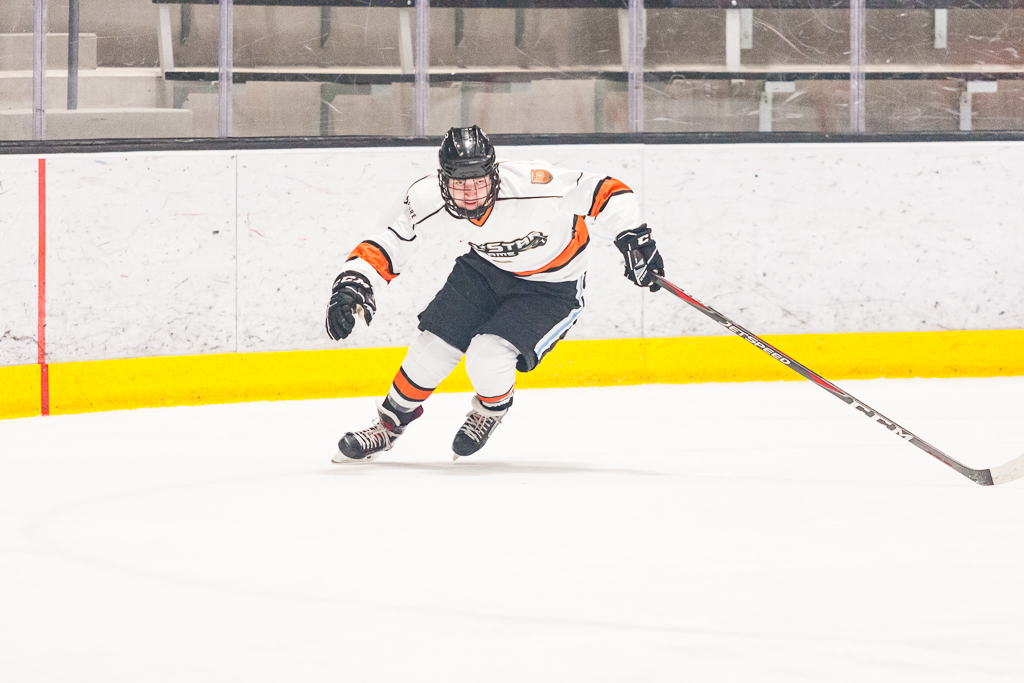 2020 ADHSHL All Star Game