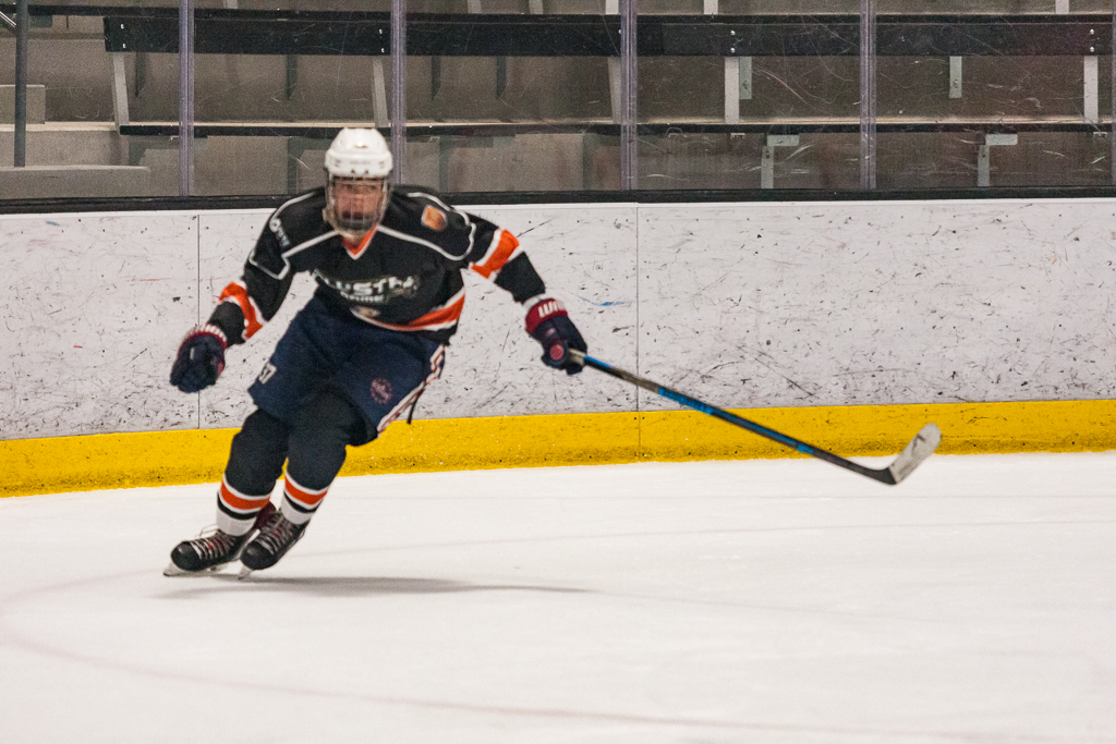 2020 ADHSHL All Star Game