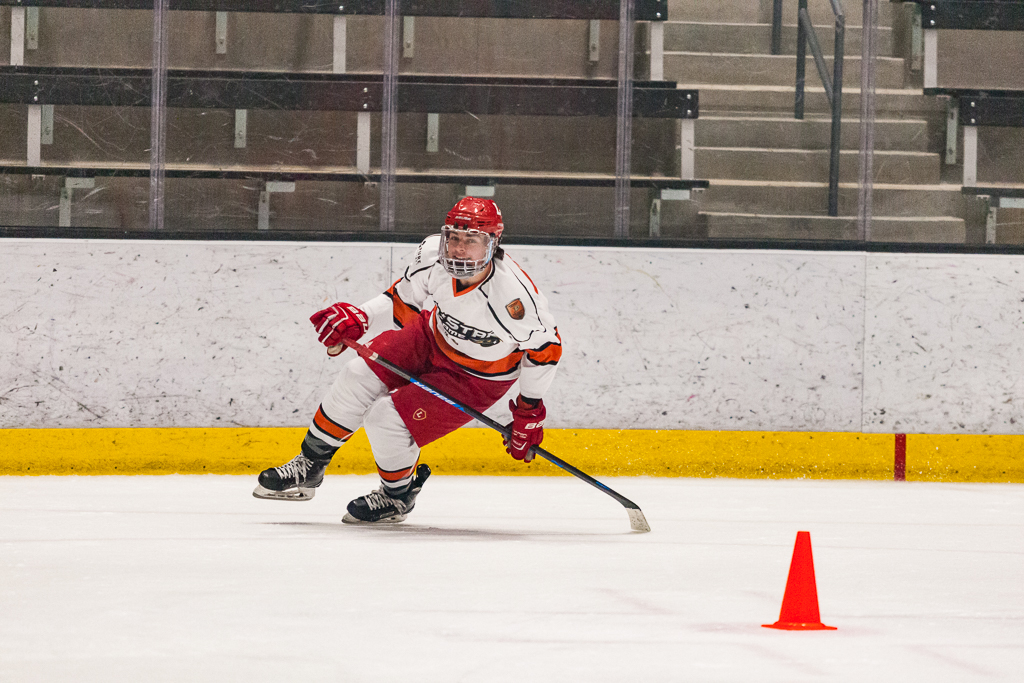2020 ADHSHL All Star Game