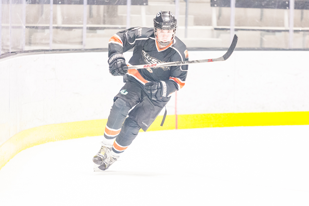 2020 ADHSHL All Star Game
