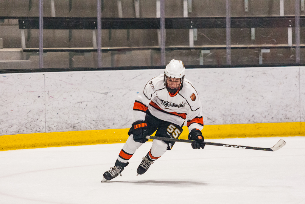 2020 ADHSHL All Star Game