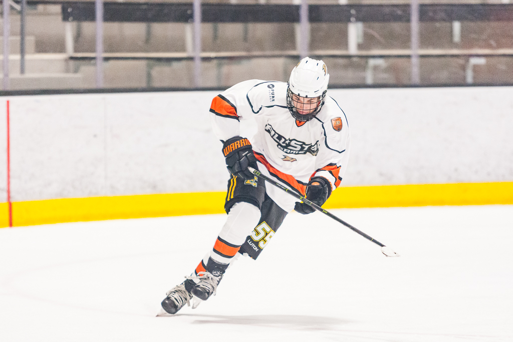 2020 ADHSHL All Star Game