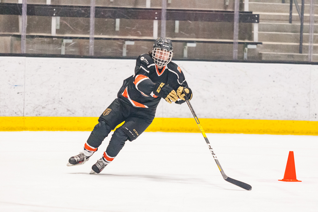 2020 ADHSHL All Star Game