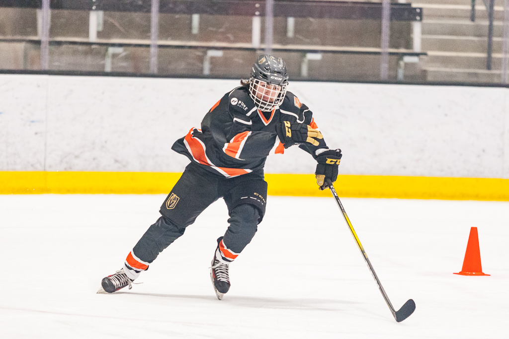 2020 ADHSHL All Star Game