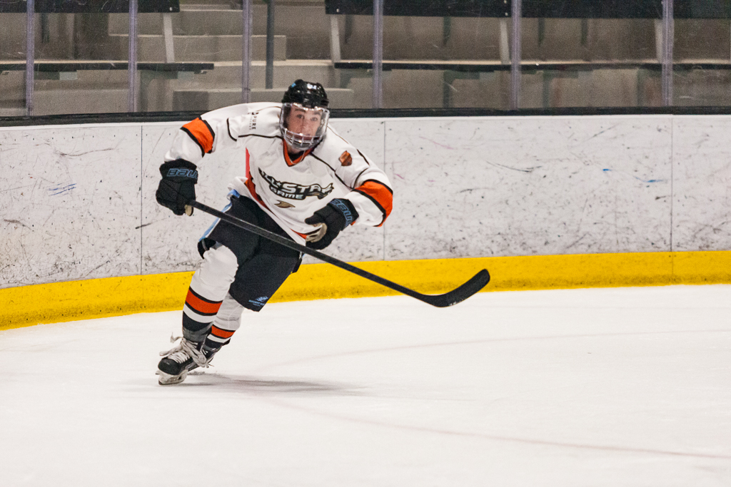 2020 ADHSHL All Star Game