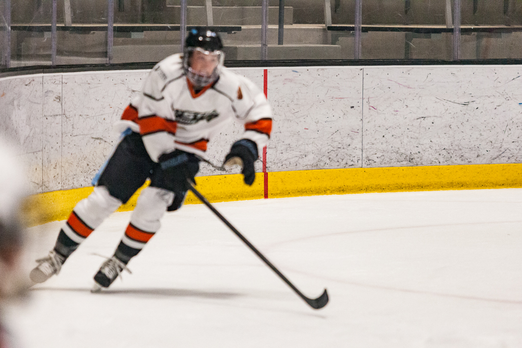 2020 ADHSHL All Star Game