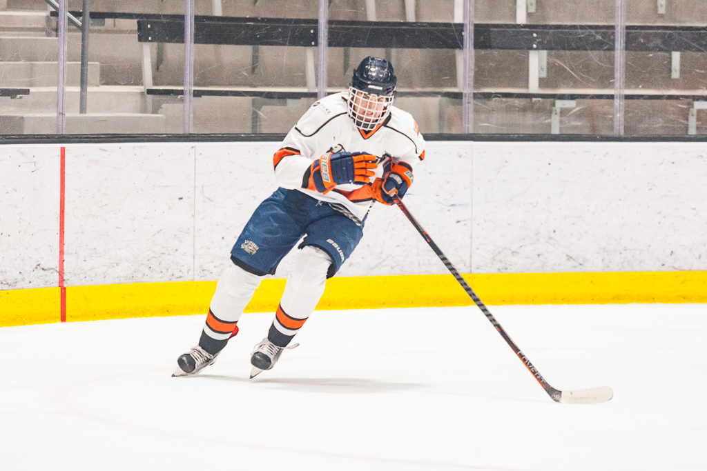 2020 ADHSHL All Star Game