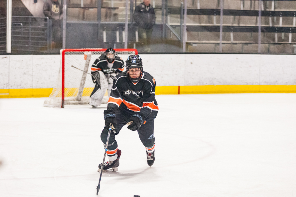 2020 ADHSHL All Star Game