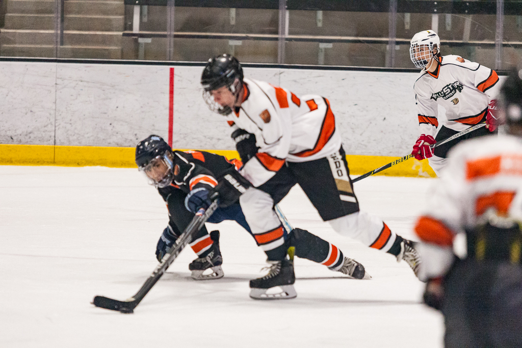 2020 ADHSHL All Star Game