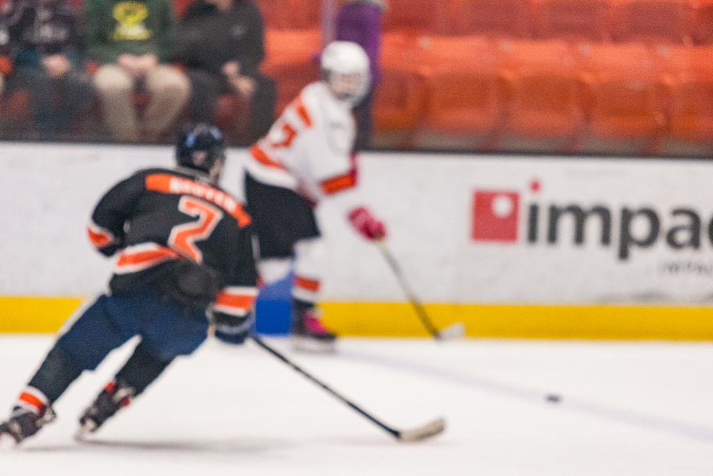 2020 ADHSHL All Star Game