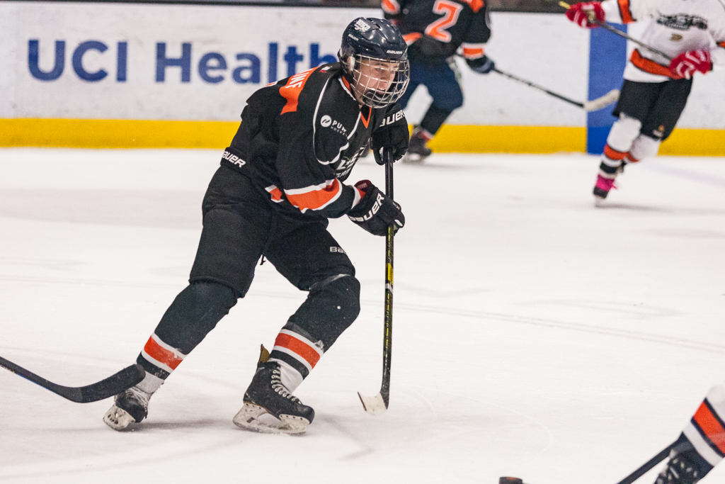 2020 ADHSHL All Star Game