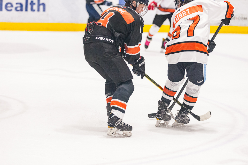 2020 ADHSHL All Star Game