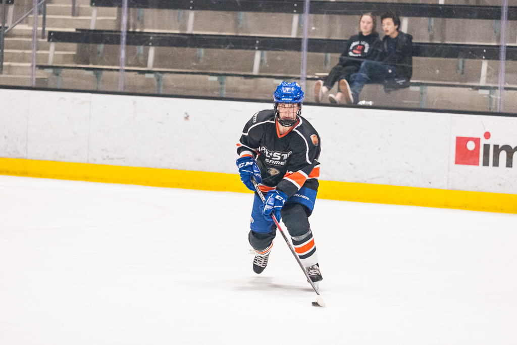 2020 ADHSHL All Star Game