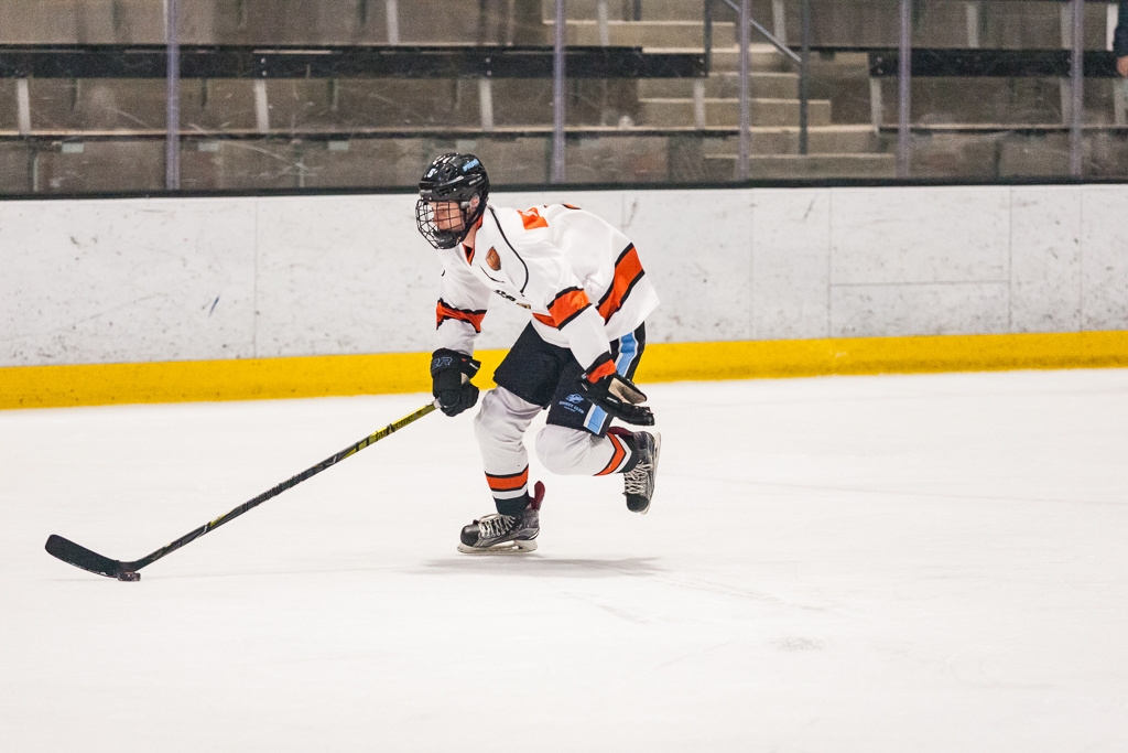 2020 ADHSHL All Star Game