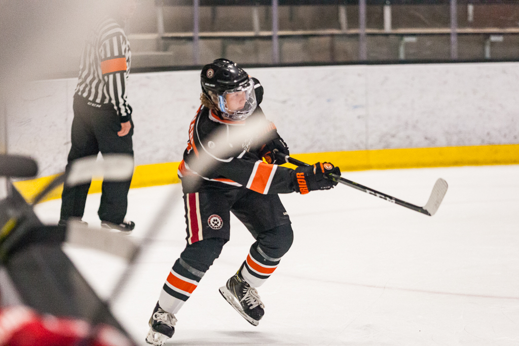 2020 ADHSHL All Star Game