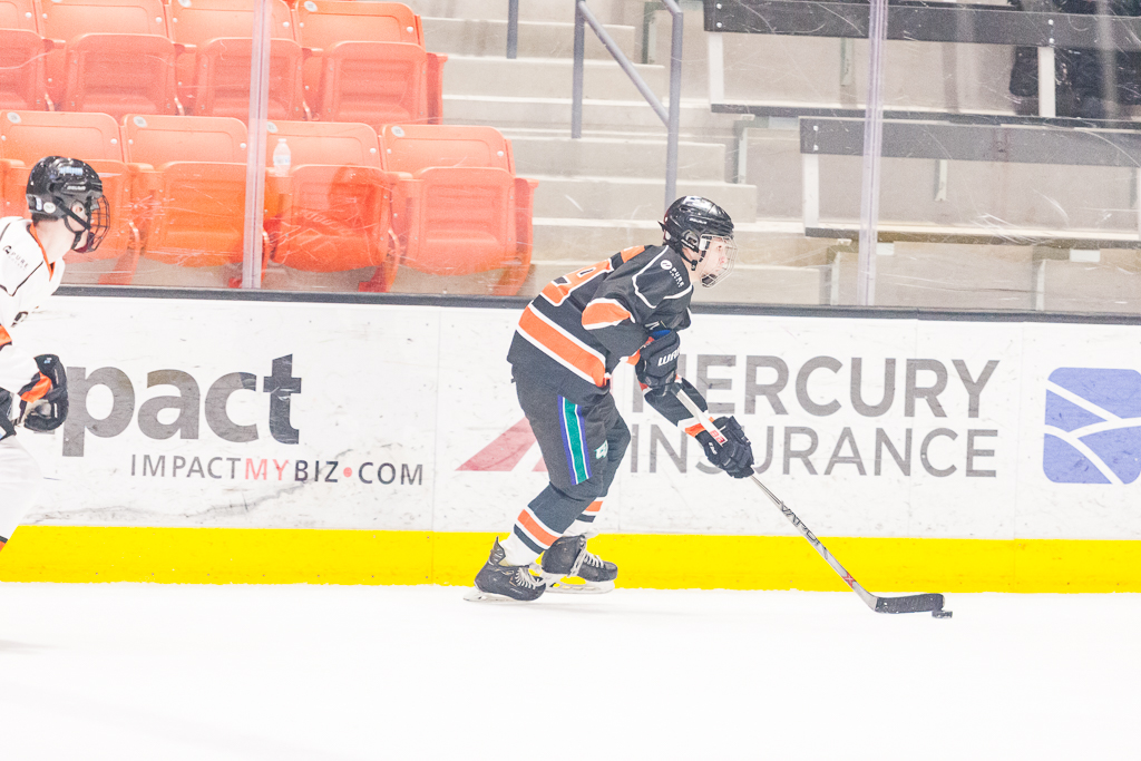 2020 ADHSHL All Star Game