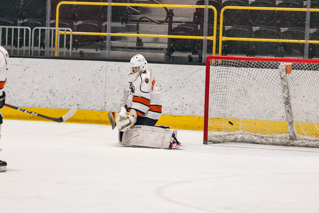 2020 ADHSHL All Star Game