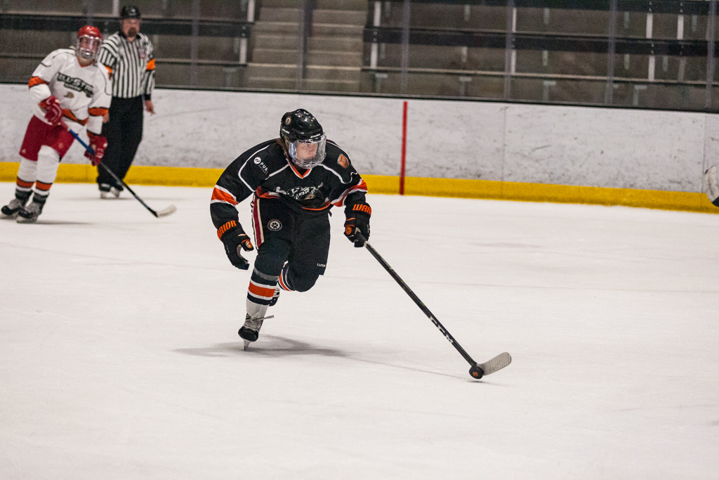 2020 ADHSHL All Star Game