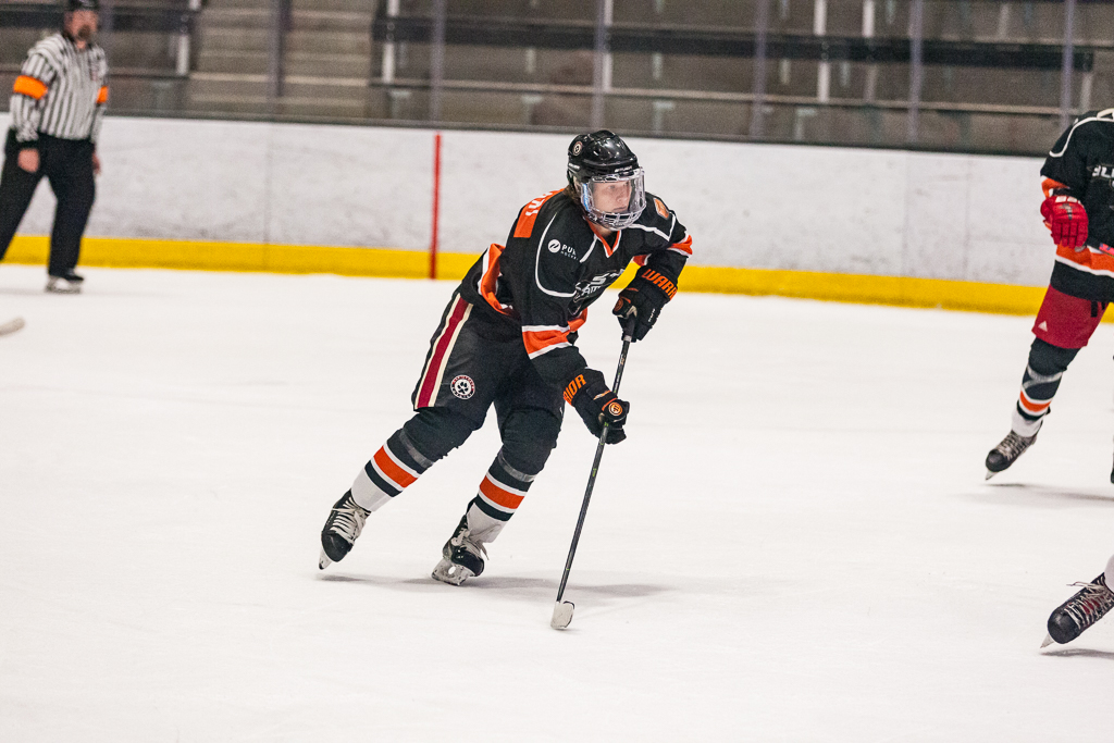 2020 ADHSHL All Star Game
