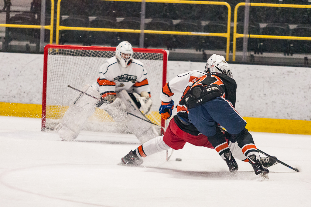 2020 ADHSHL All Star Game