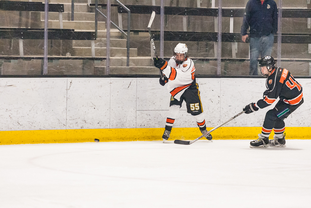 2020 ADHSHL All Star Game