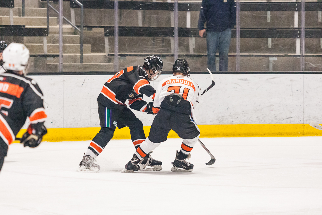2020 ADHSHL All Star Game