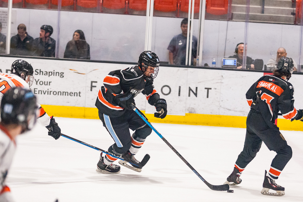 2020 ADHSHL All Star Game