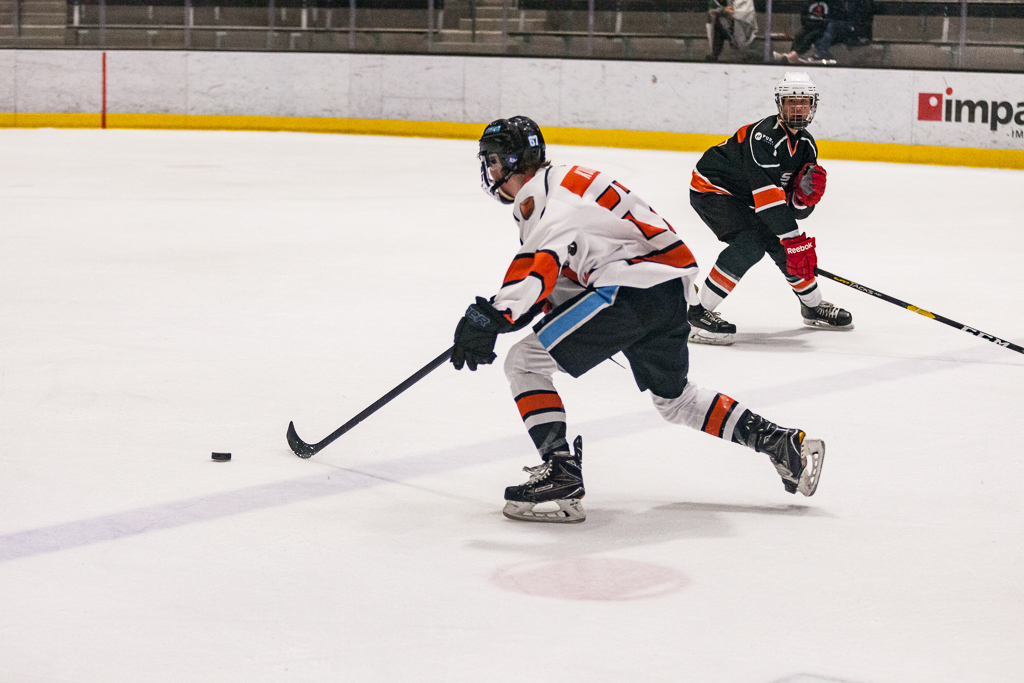 2020 ADHSHL All Star Game