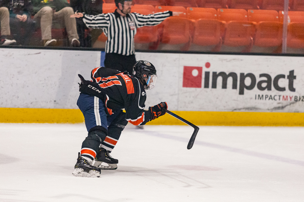 2020 ADHSHL All Star Game