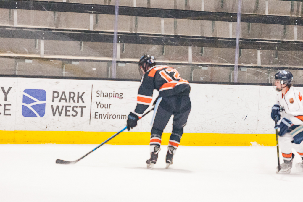 2020 ADHSHL All Star Game
