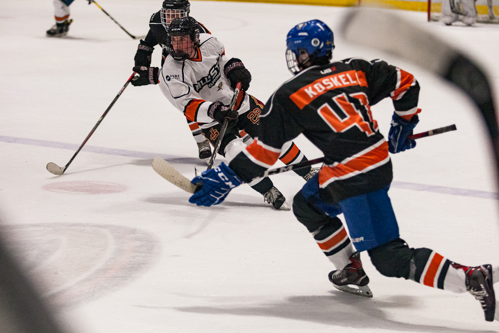 2020 ADHSHL All Star Game