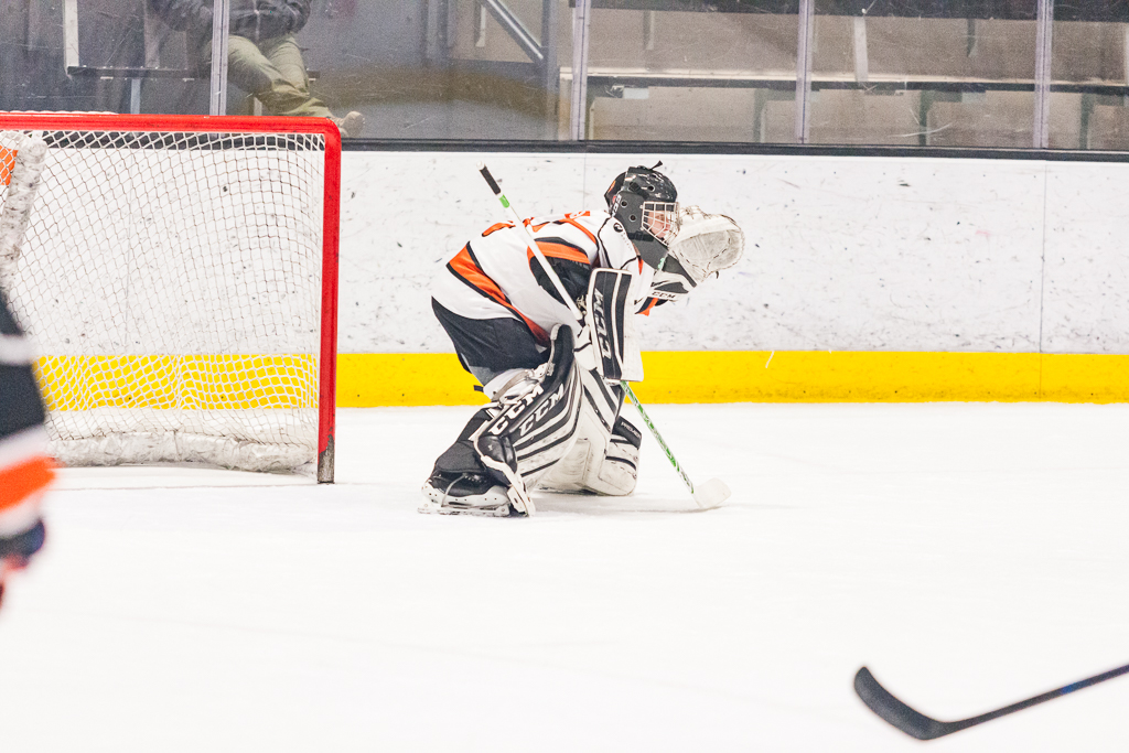 2020 ADHSHL All Star Game