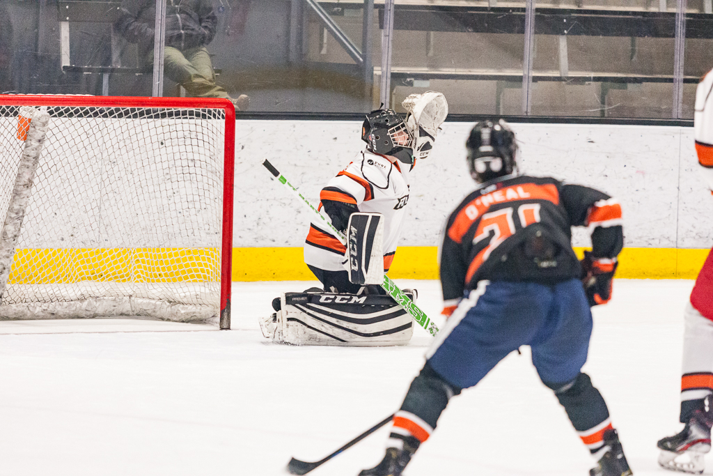 2020 ADHSHL All Star Game