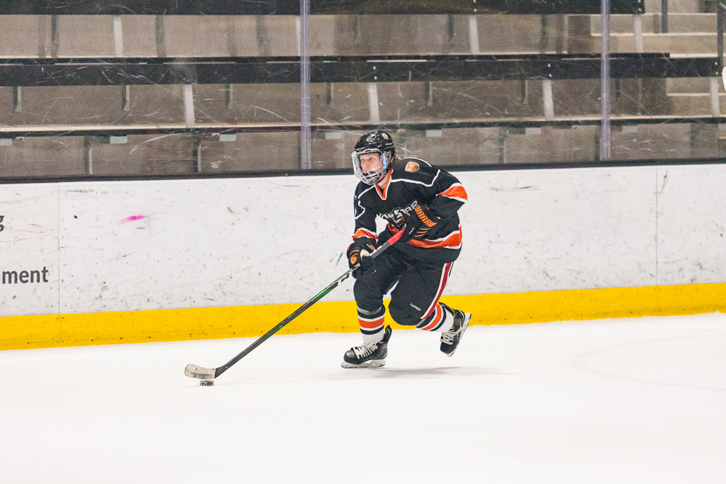 2020 ADHSHL All Star Game