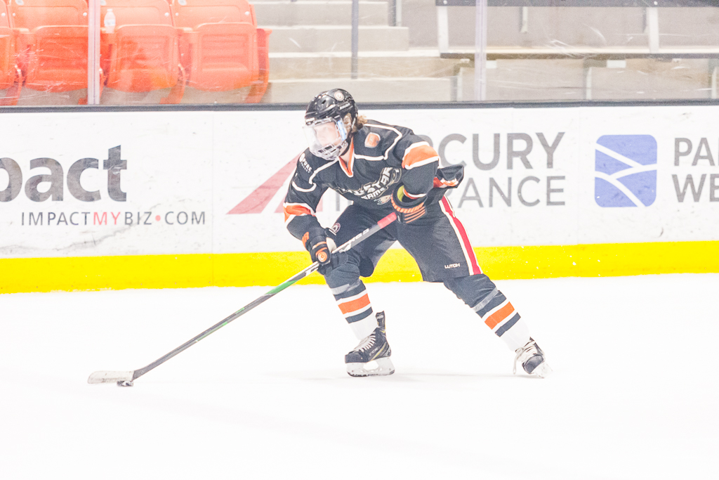 2020 ADHSHL All Star Game