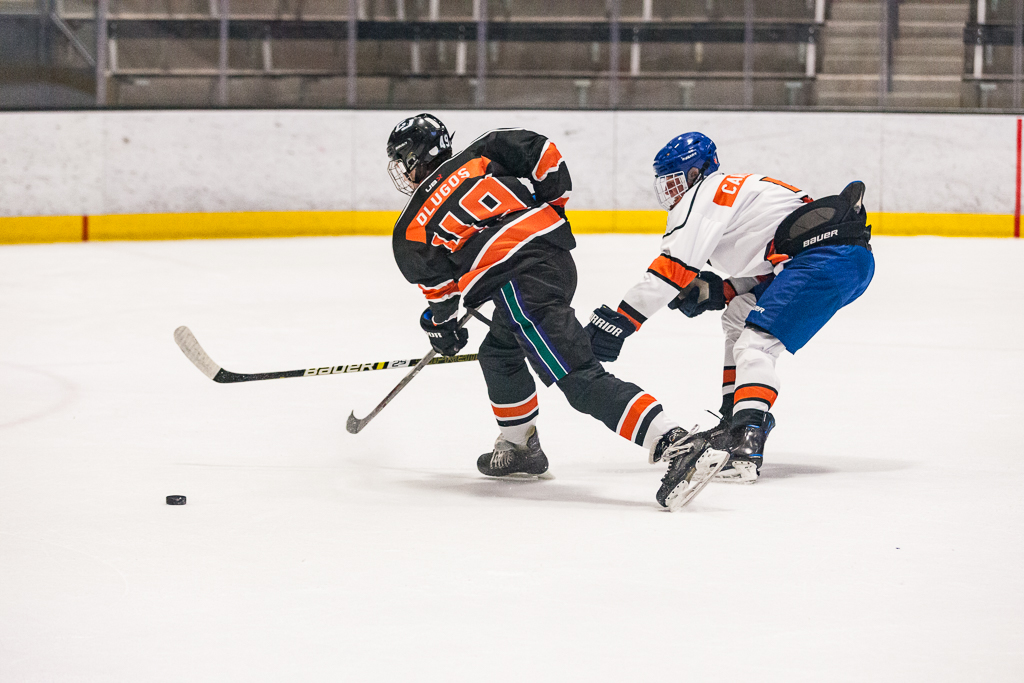 2020 ADHSHL All Star Game
