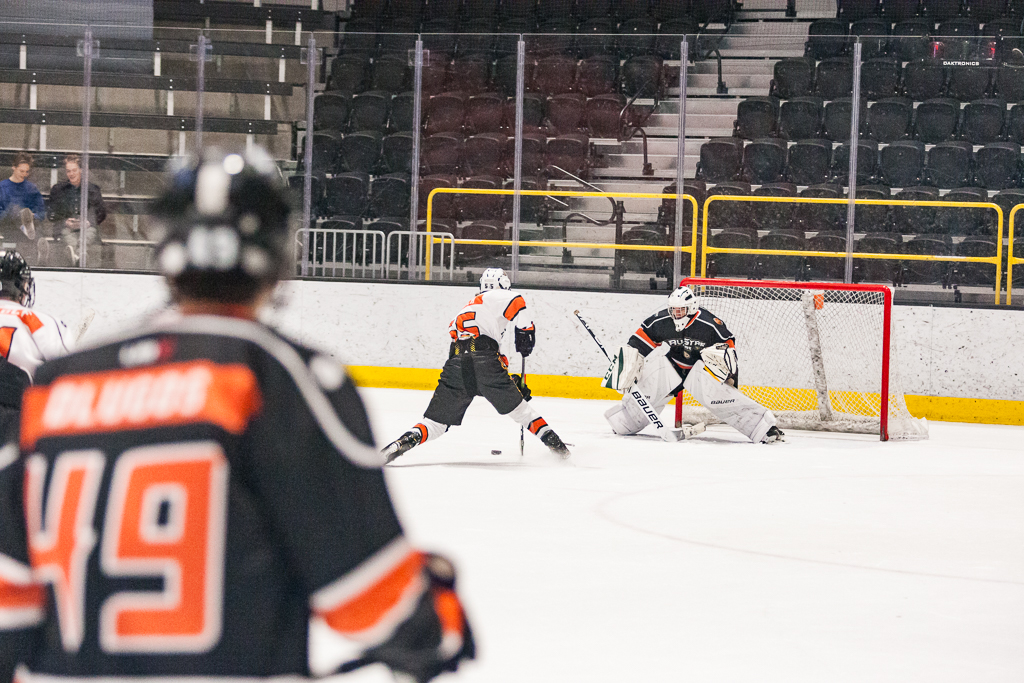 2020 ADHSHL All Star Game
