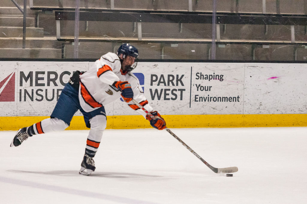 2020 ADHSHL All Star Game
